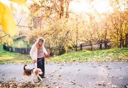 woman walking dog